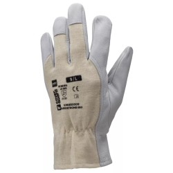Gants maîtrise + dos en toile
